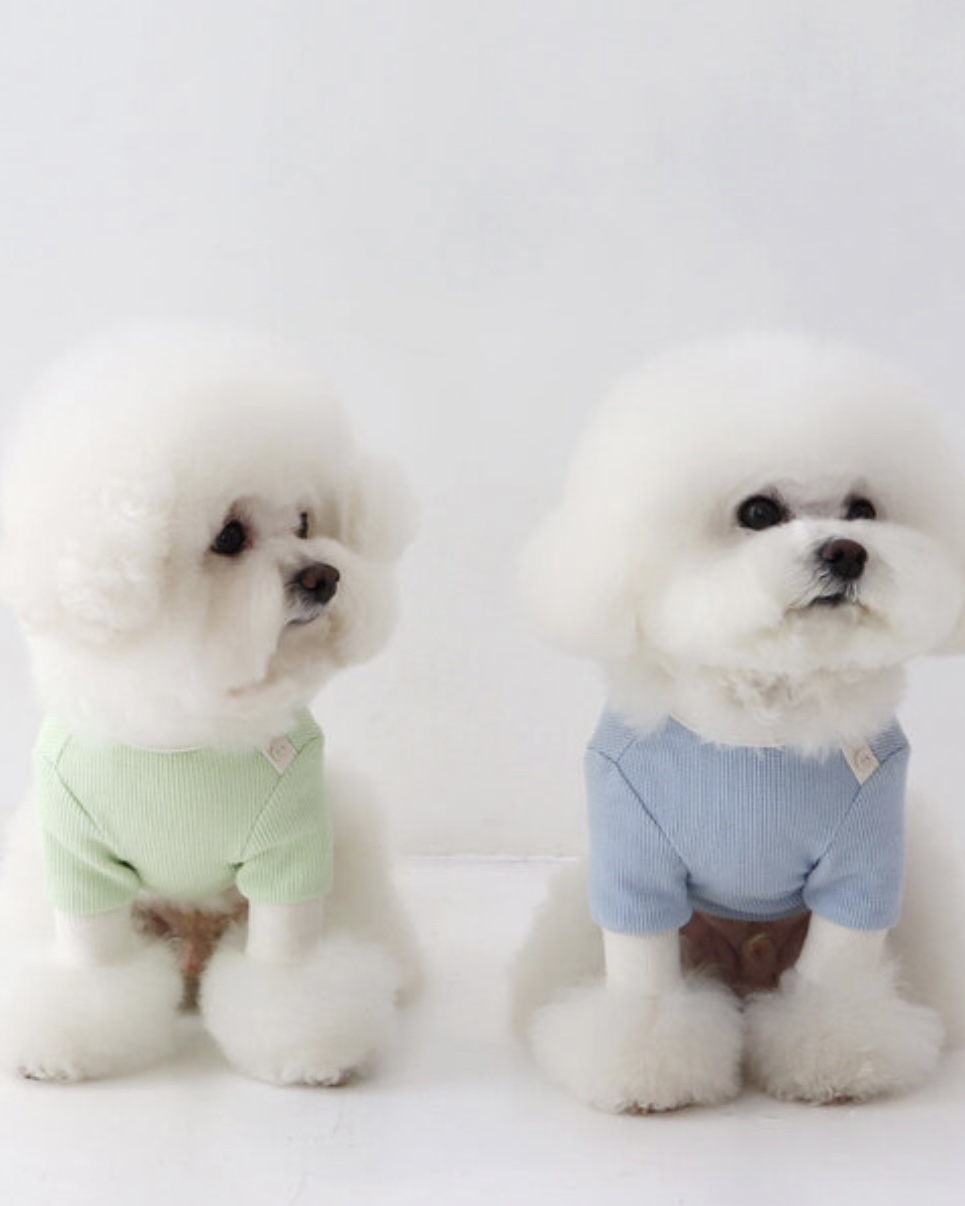 Sherbet Waffle T-Shirt (Blue)