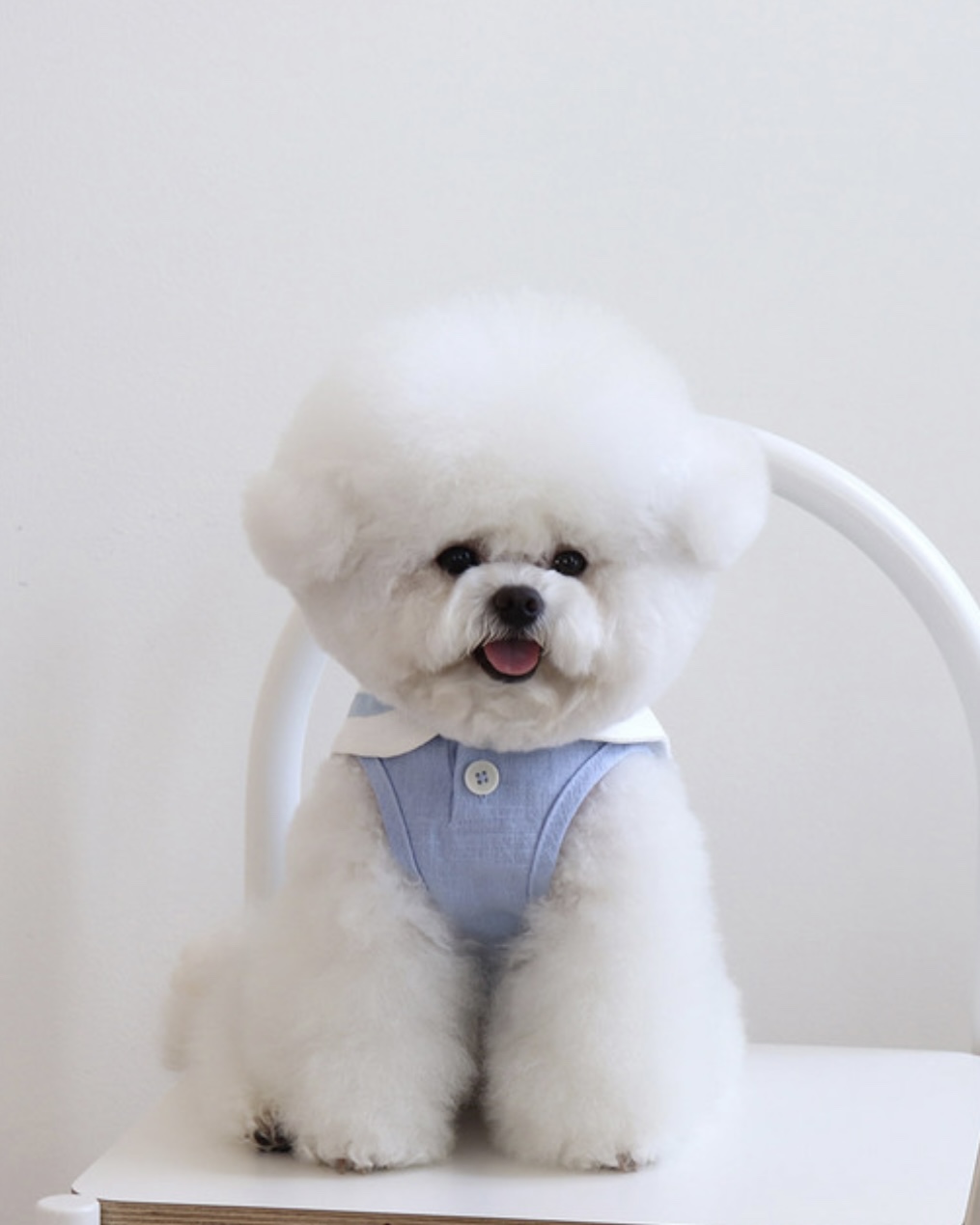 Pastel Linen Cape Top (Blue)