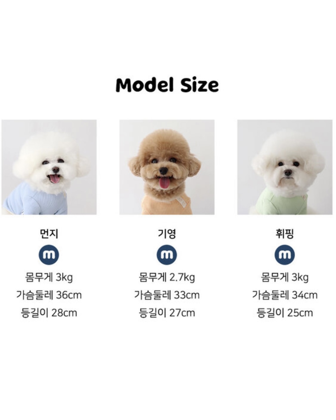 Sherbet Waffle T-Shirt (Blue)