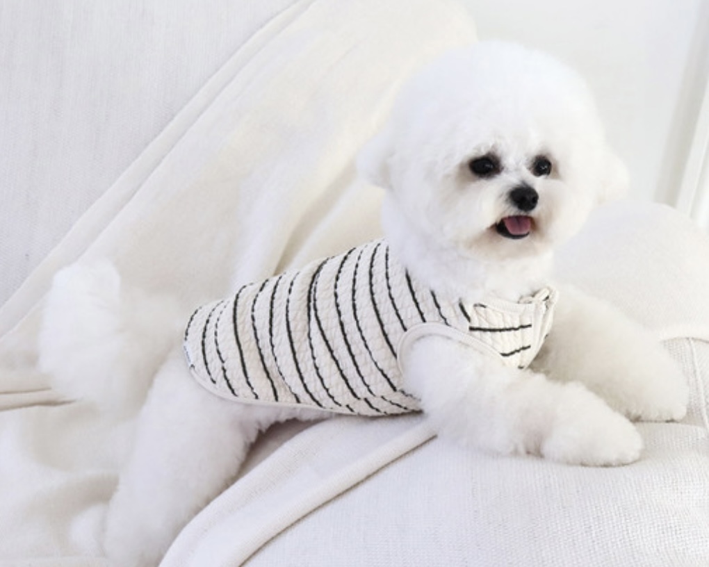 Chiot Bebe Cream Quilted Zip-Up Vest (Khaki)