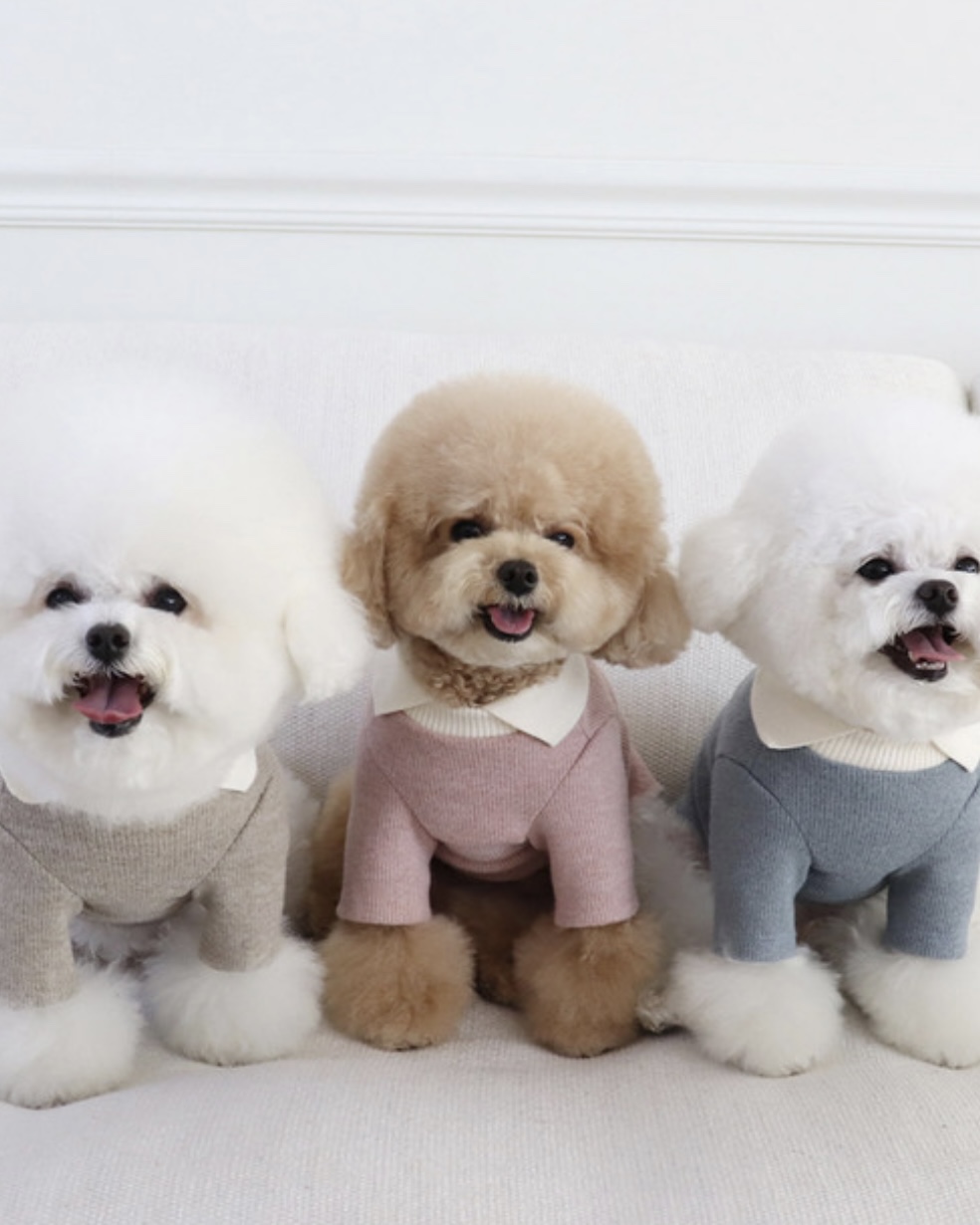 Chiot Blanc Knit Collar T-Shirt (Beige)