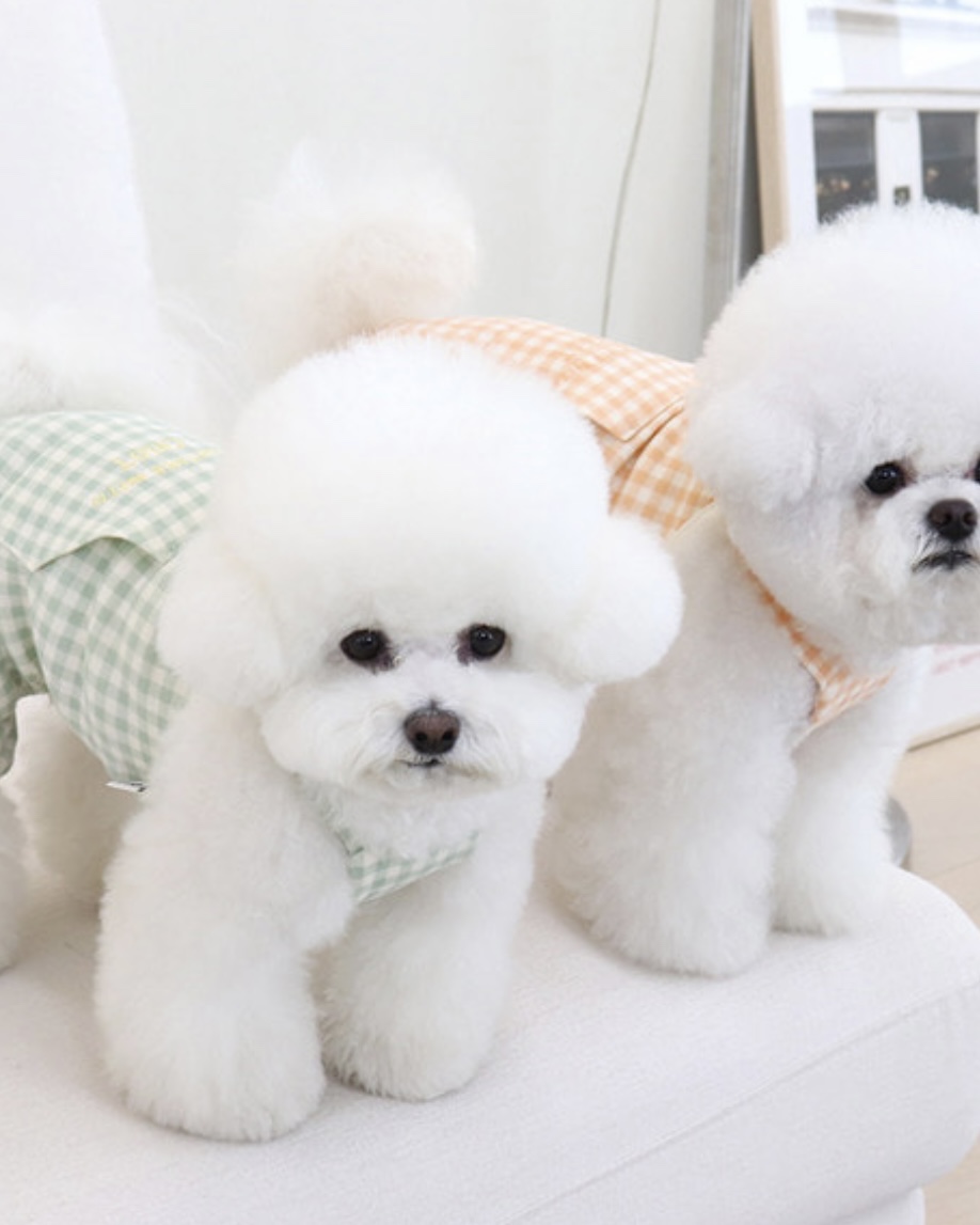 Chiot Together Check All in One Overall (Mint)