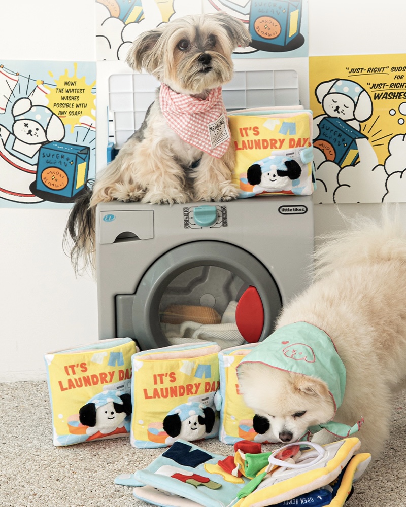 Laundry Day Nosework Playbook