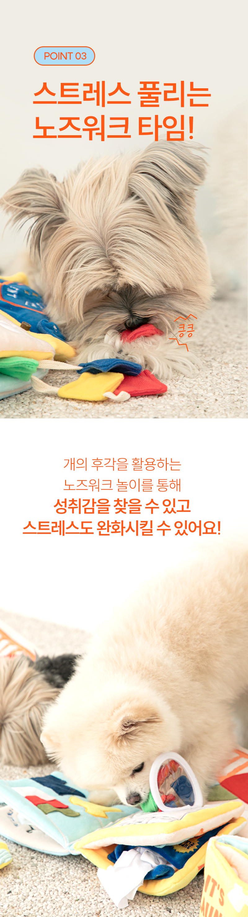 Laundry Day Nosework Playbook