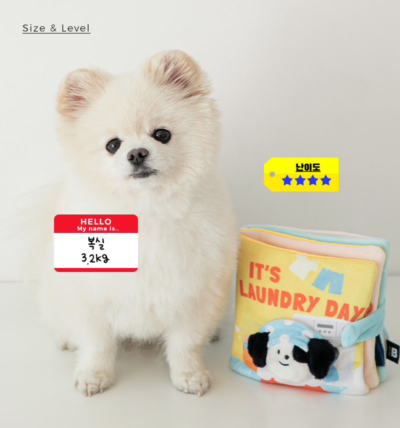 Laundry Day Nosework Playbook