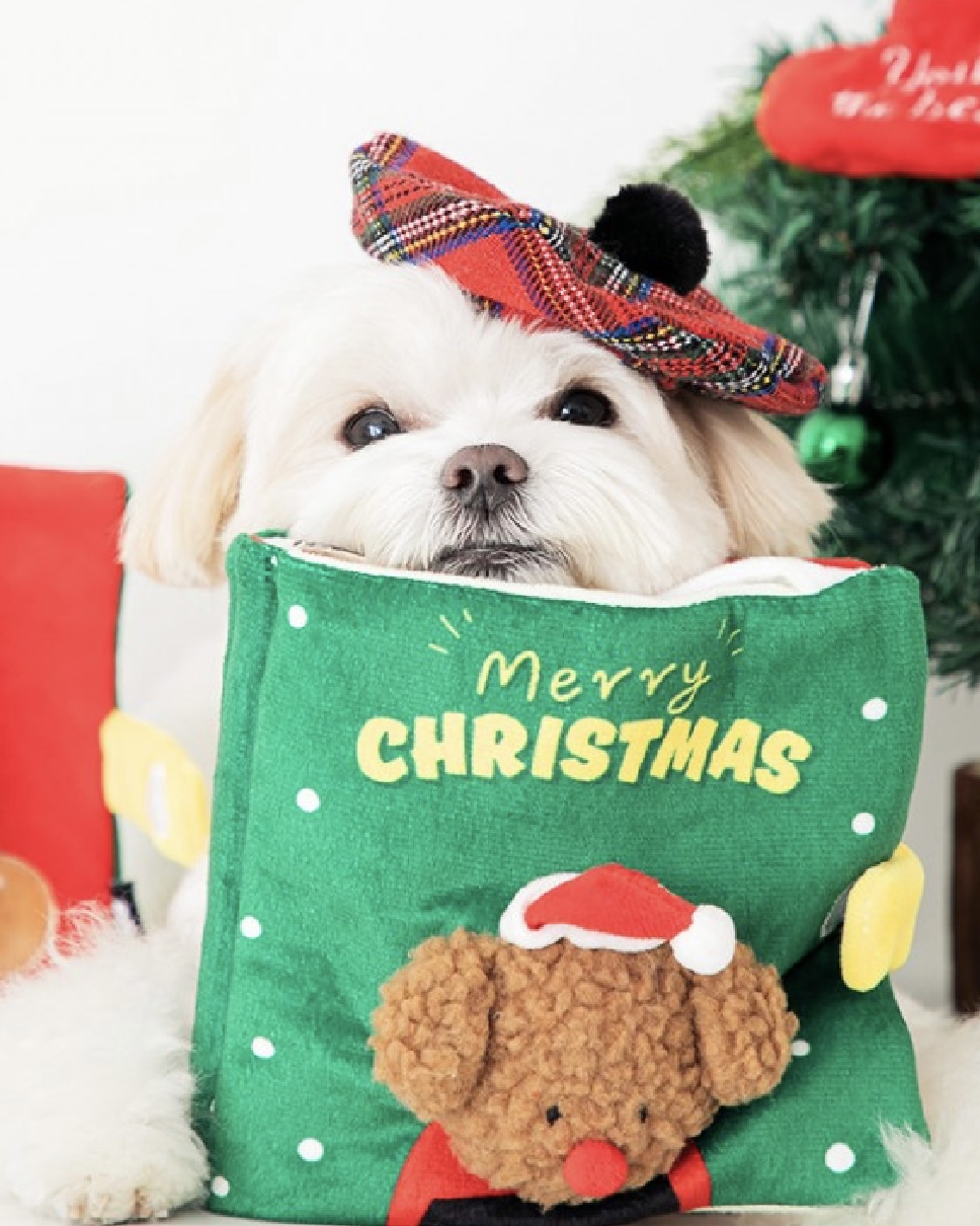 Christmas Nosework Playbook