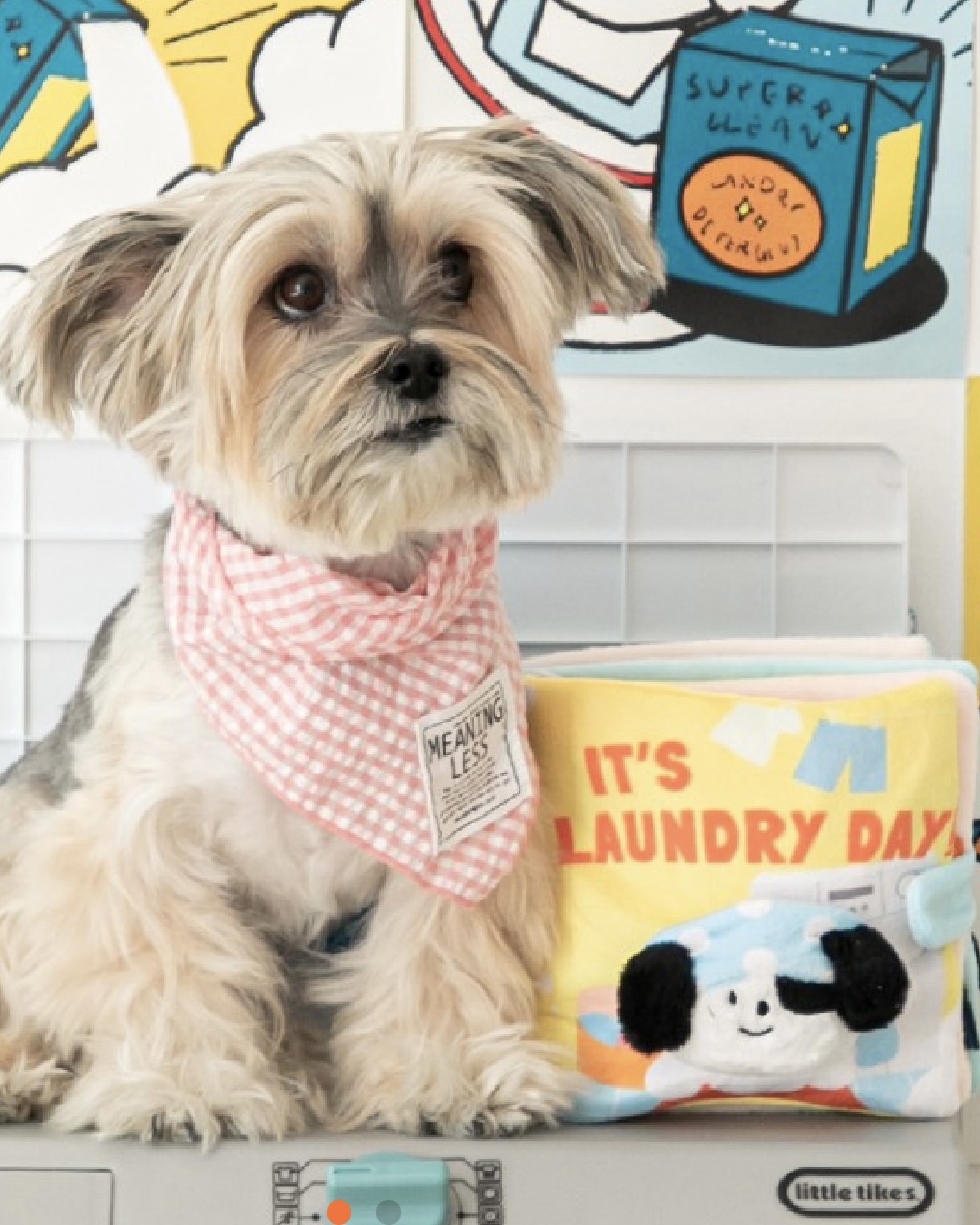 Laundry Day Nosework Playbook