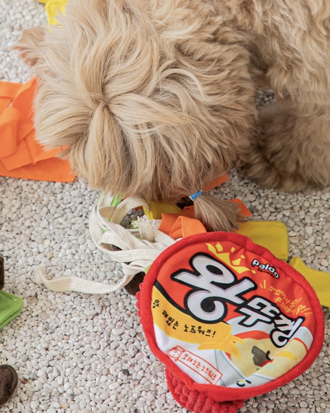 Instant Noodle Nosework Toy