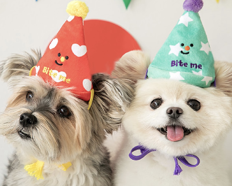 Party Series- Party Card Toy