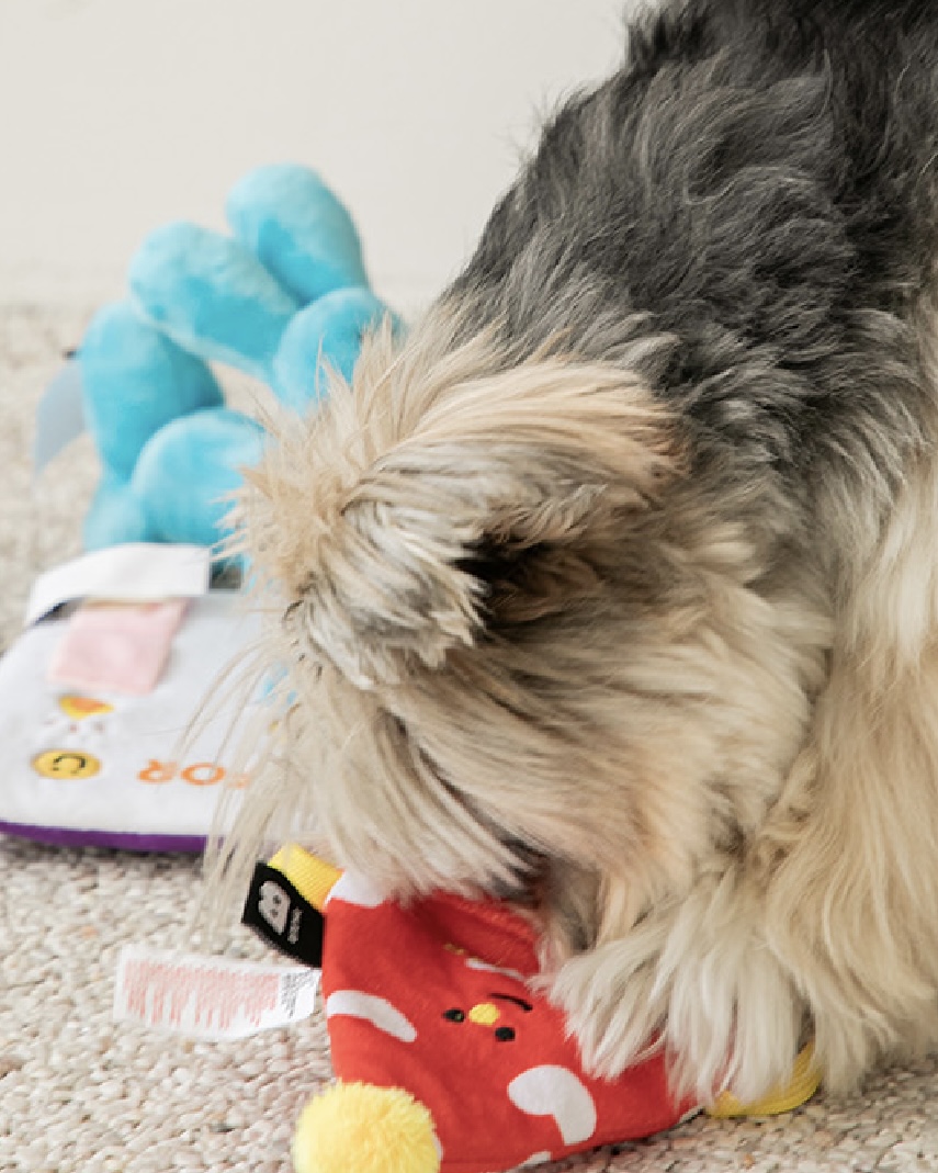 Party Series- Party Card Toy