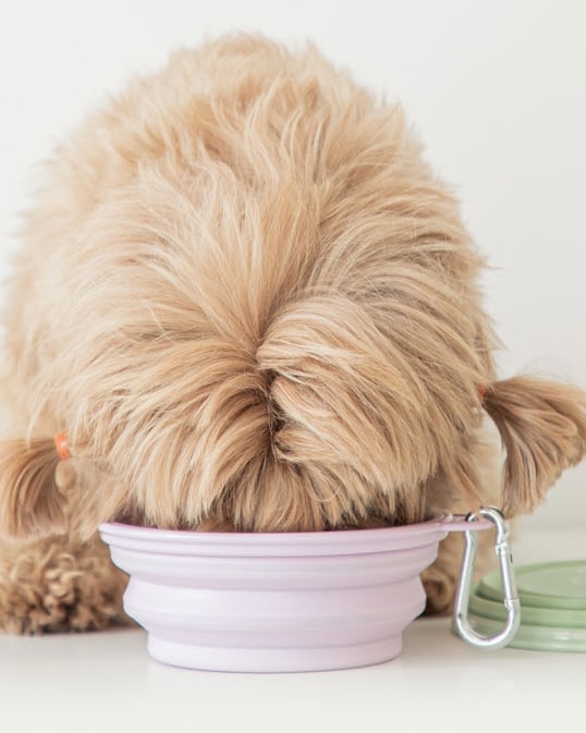 Foldable Silicon Bowl