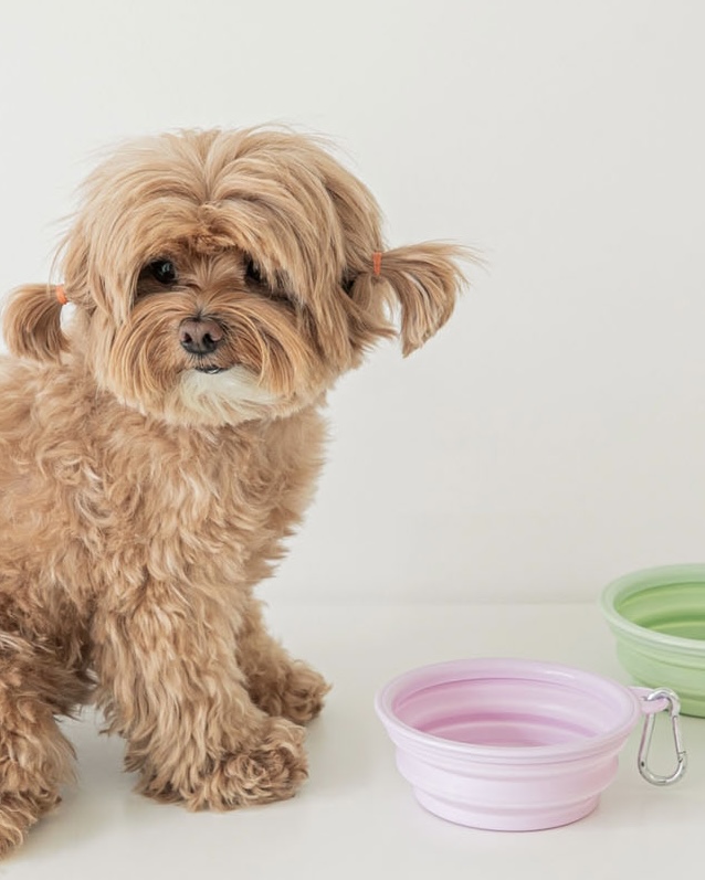 Foldable Silicon Bowl