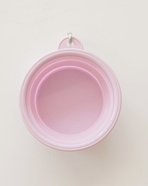 Foldable Silicon Bowl