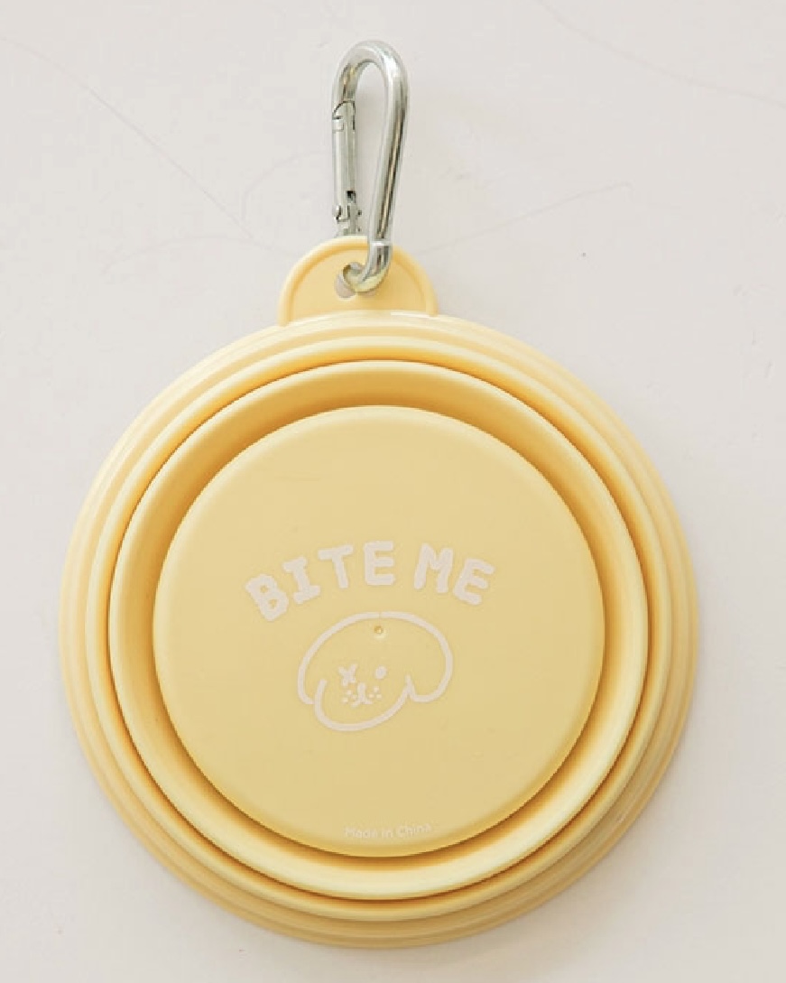 Foldable Silicon Bowl