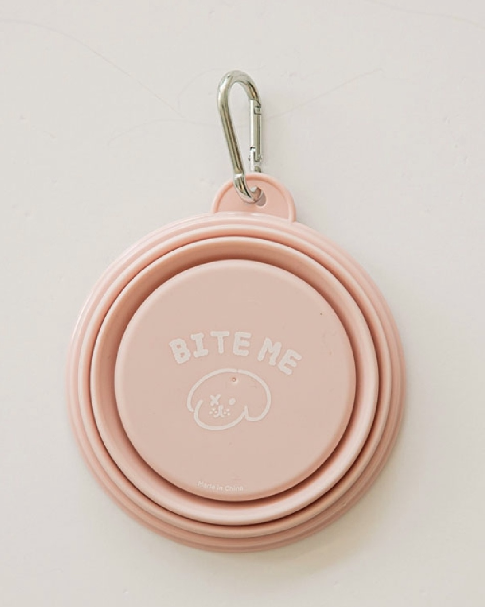 Foldable Silicon Bowl