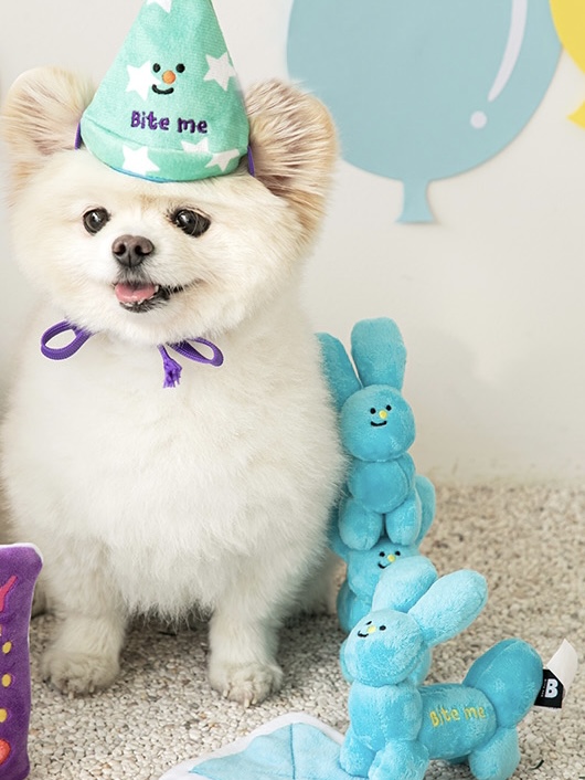 Party Series- Balloon Dog Toy