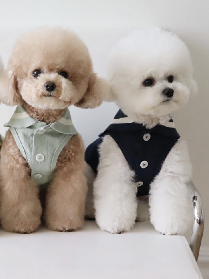 Chiot Linen Cape Top