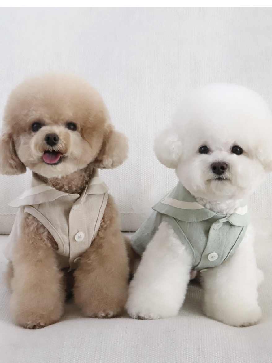 Chiot Linen Cape Top