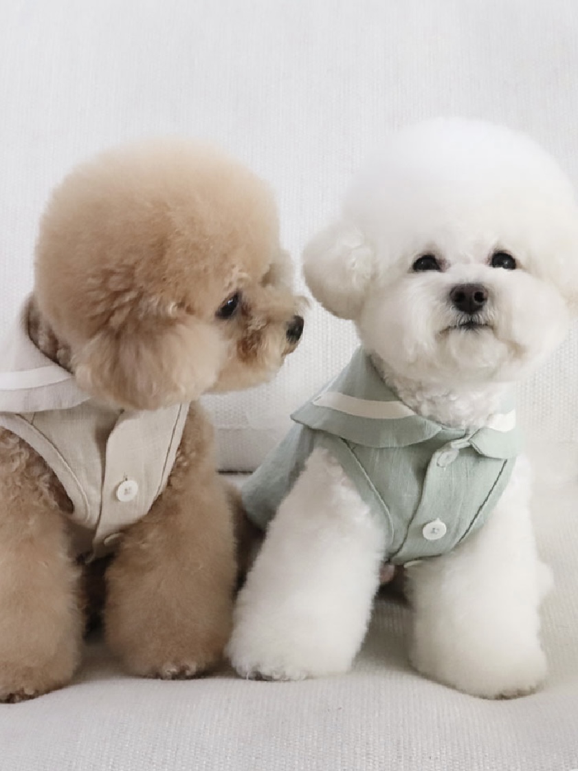 Chiot Linen Cape Top