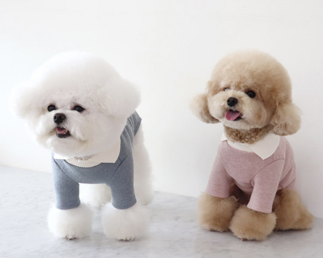 Chiot Blanc Knit Collar T-Shirt (Blue)