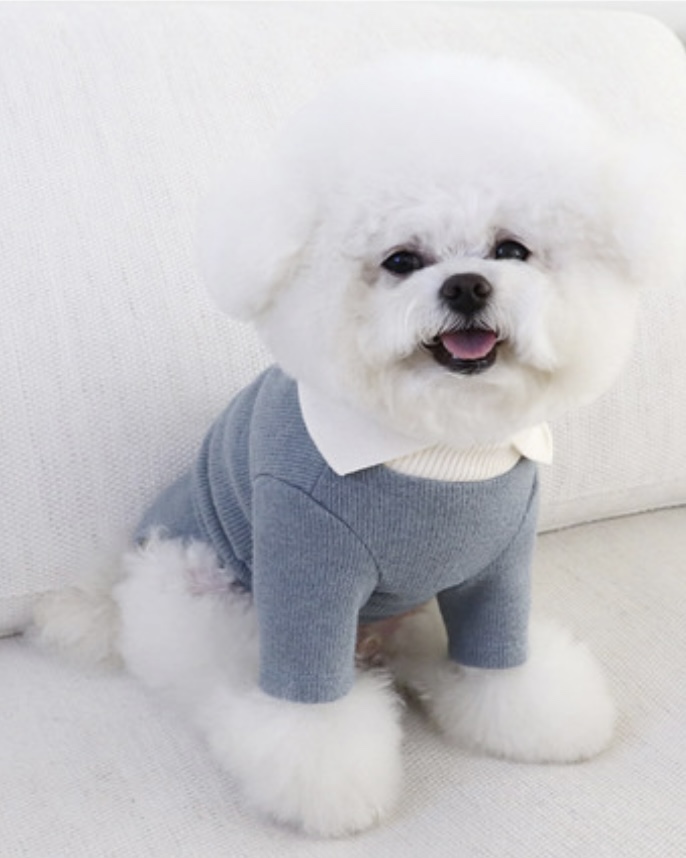 Chiot Blanc Knit Collar T-Shirt (Blue)
