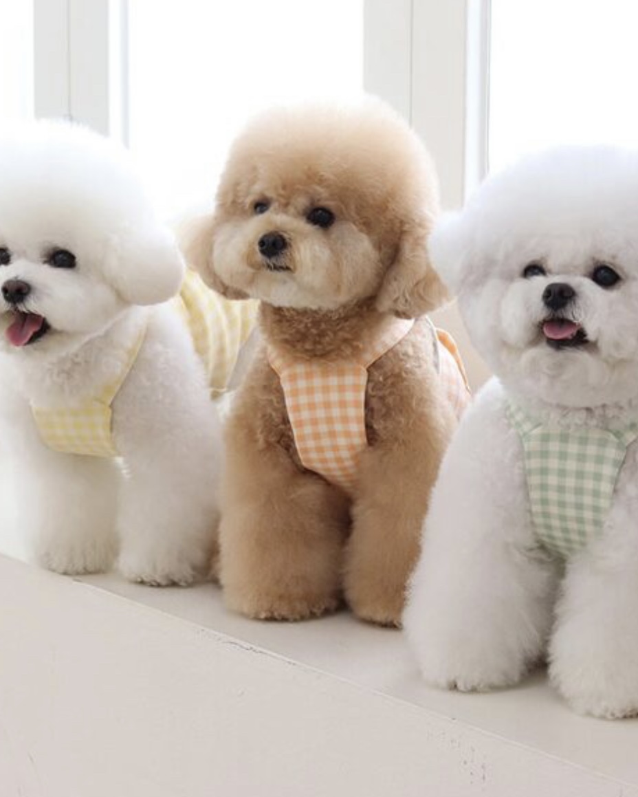 Chiot Together Check Crop Top Overall (Mint)