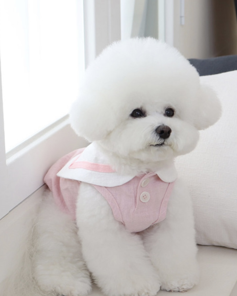 Pastel Linen Cape Top (Pink)