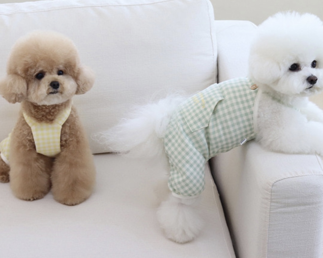 Chiot Together Check All in One Overall (Yellow)