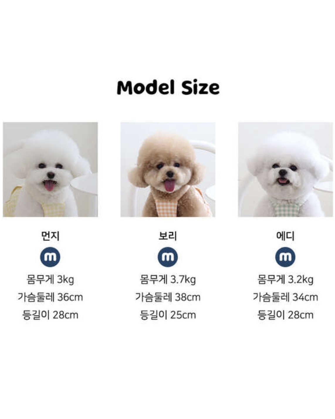 Chiot Together Check All in One Overall (Orange)