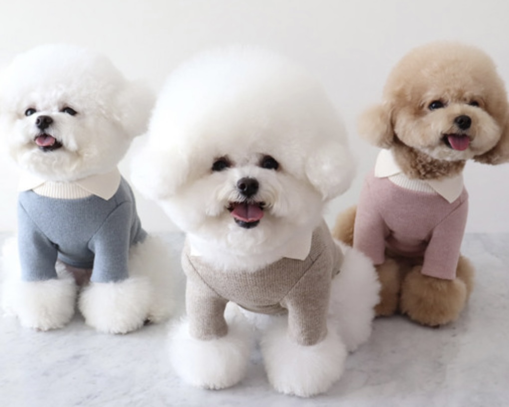 Chiot Blanc Knit Collar T-Shirt (Beige)