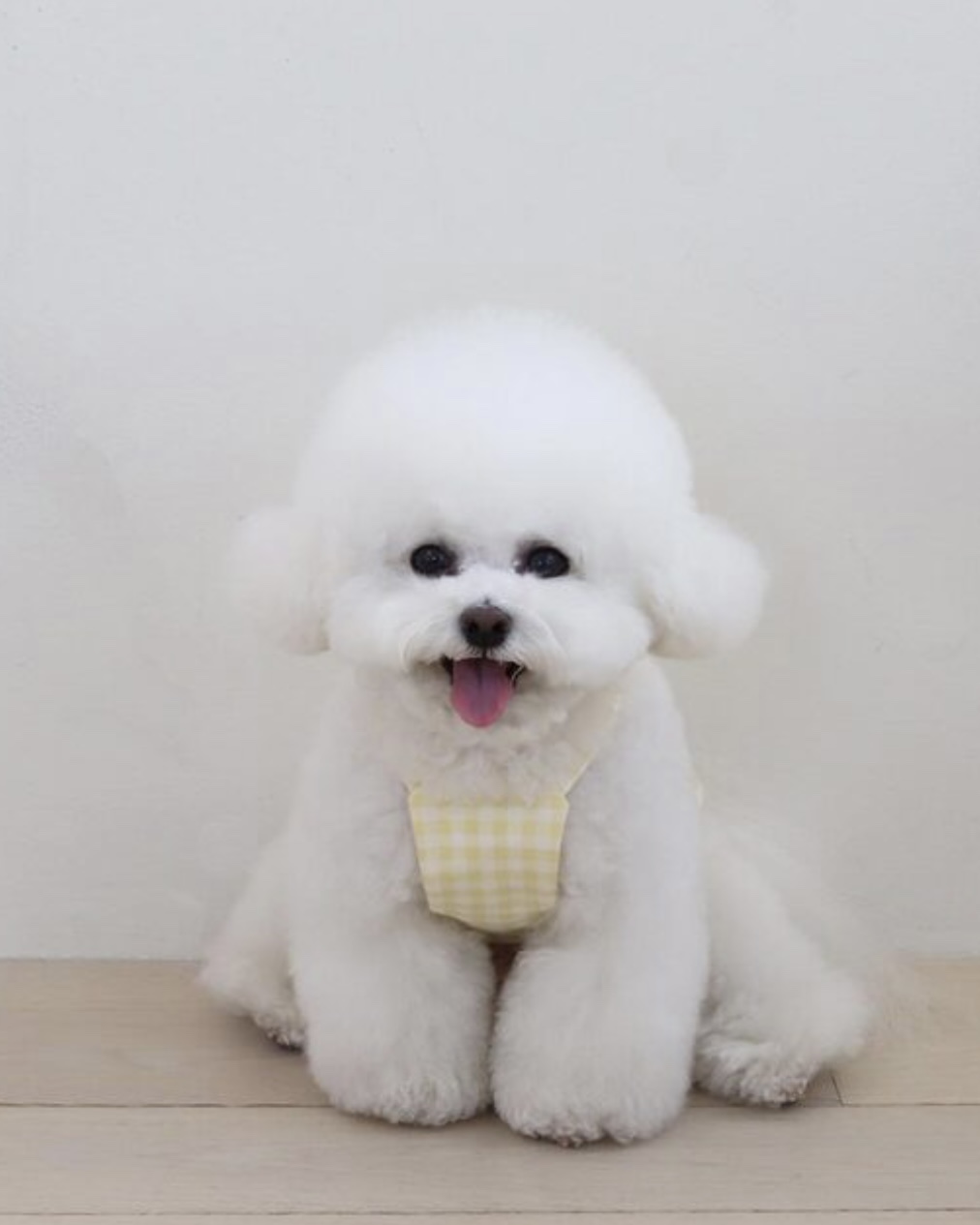 Together Check Crop Top Overall (Yellow)