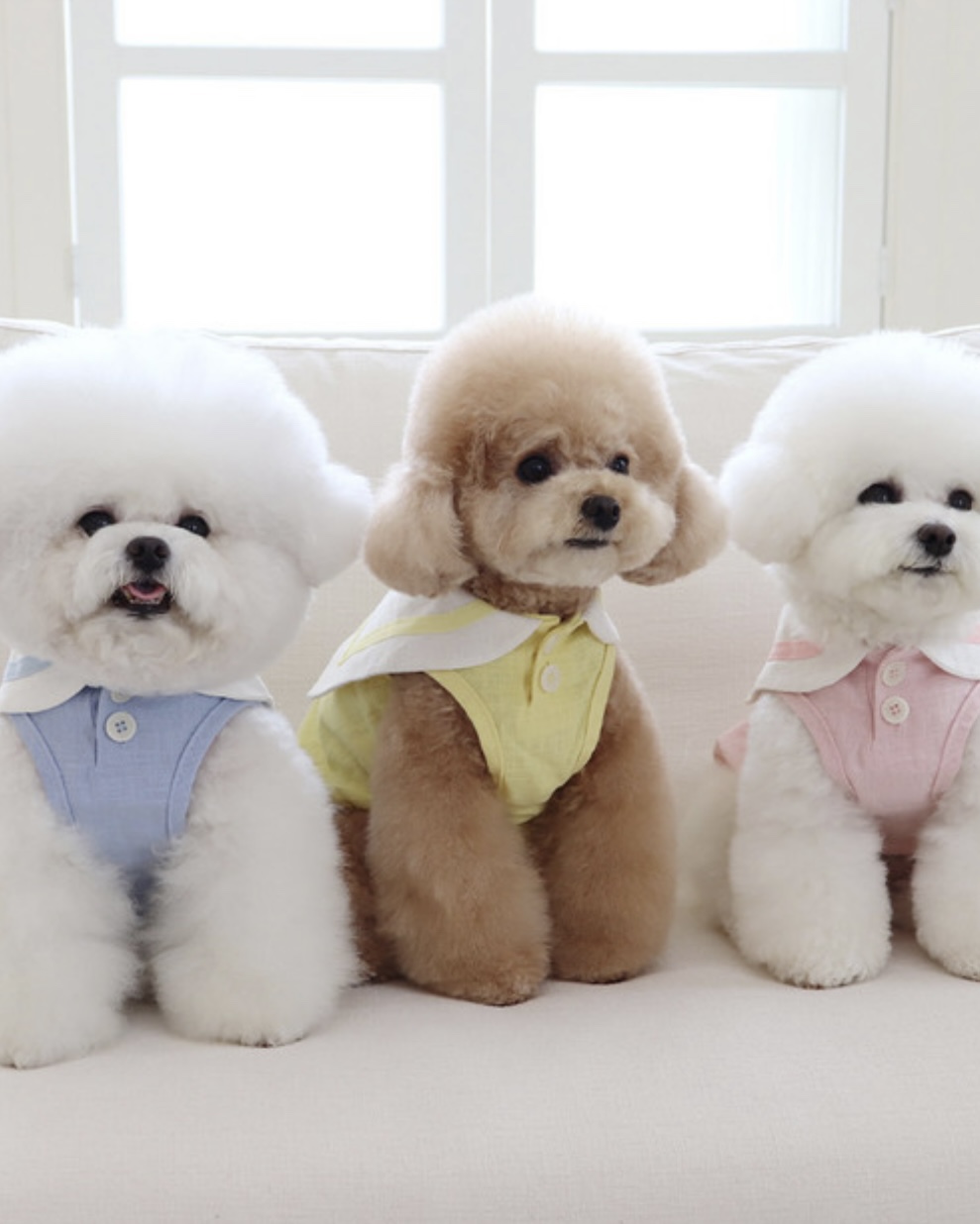 Pastel Linen Cape Top (Mint)