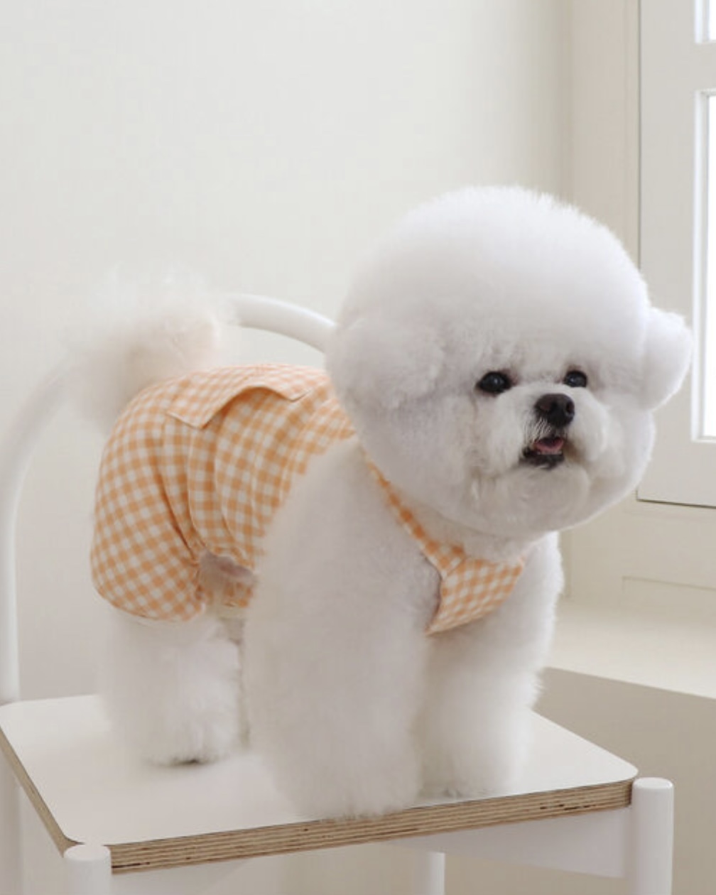 Chiot Together Check All in One Overall (Orange)