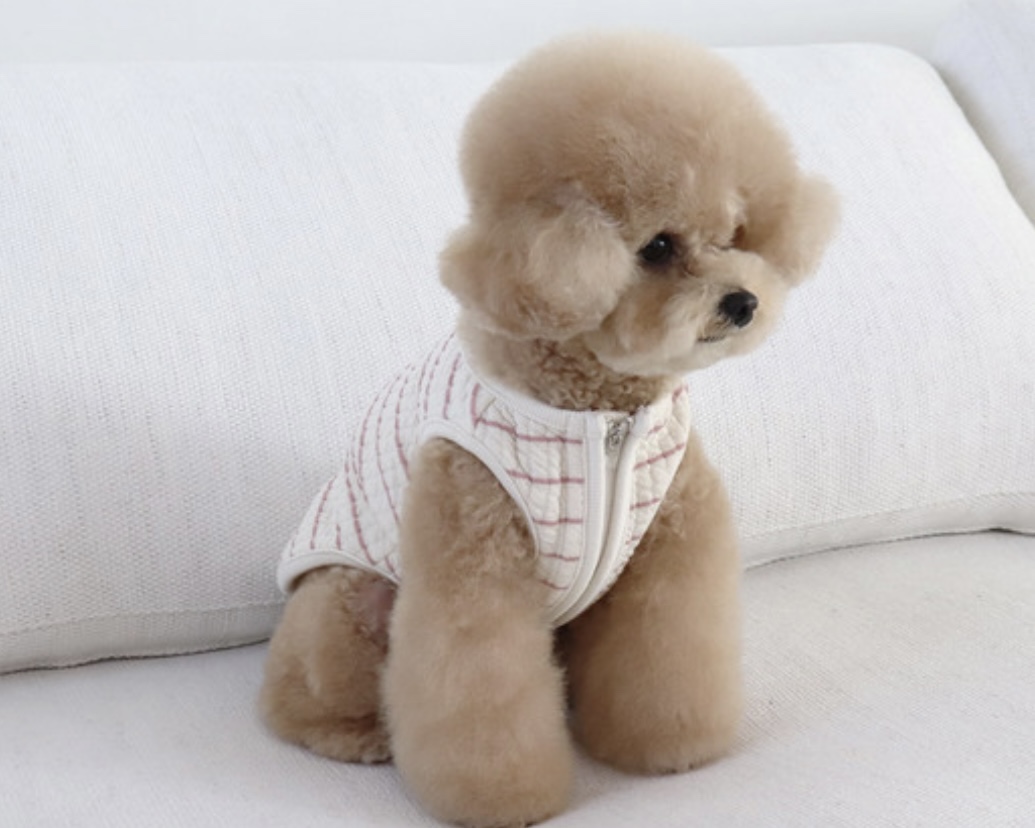 Chiot Bebe Cream Quilted Zip-Up Vest (Pink)