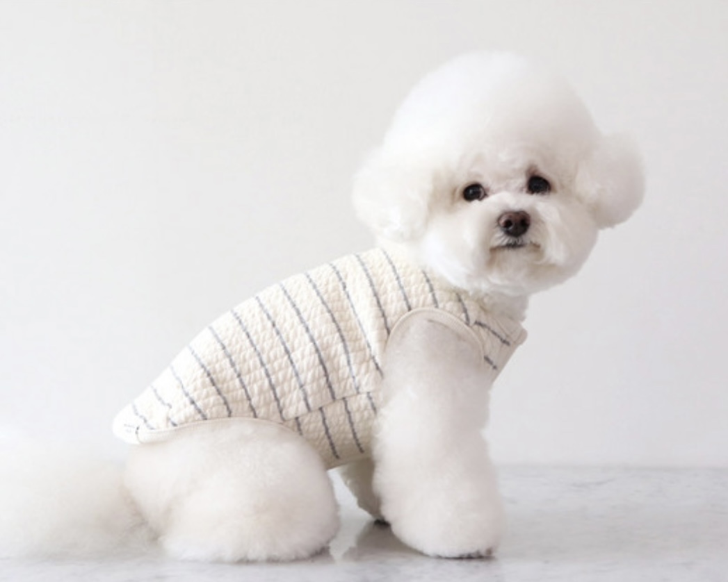 Chiot Bebe Cream Quilted Zip-Up Vest (Grey)