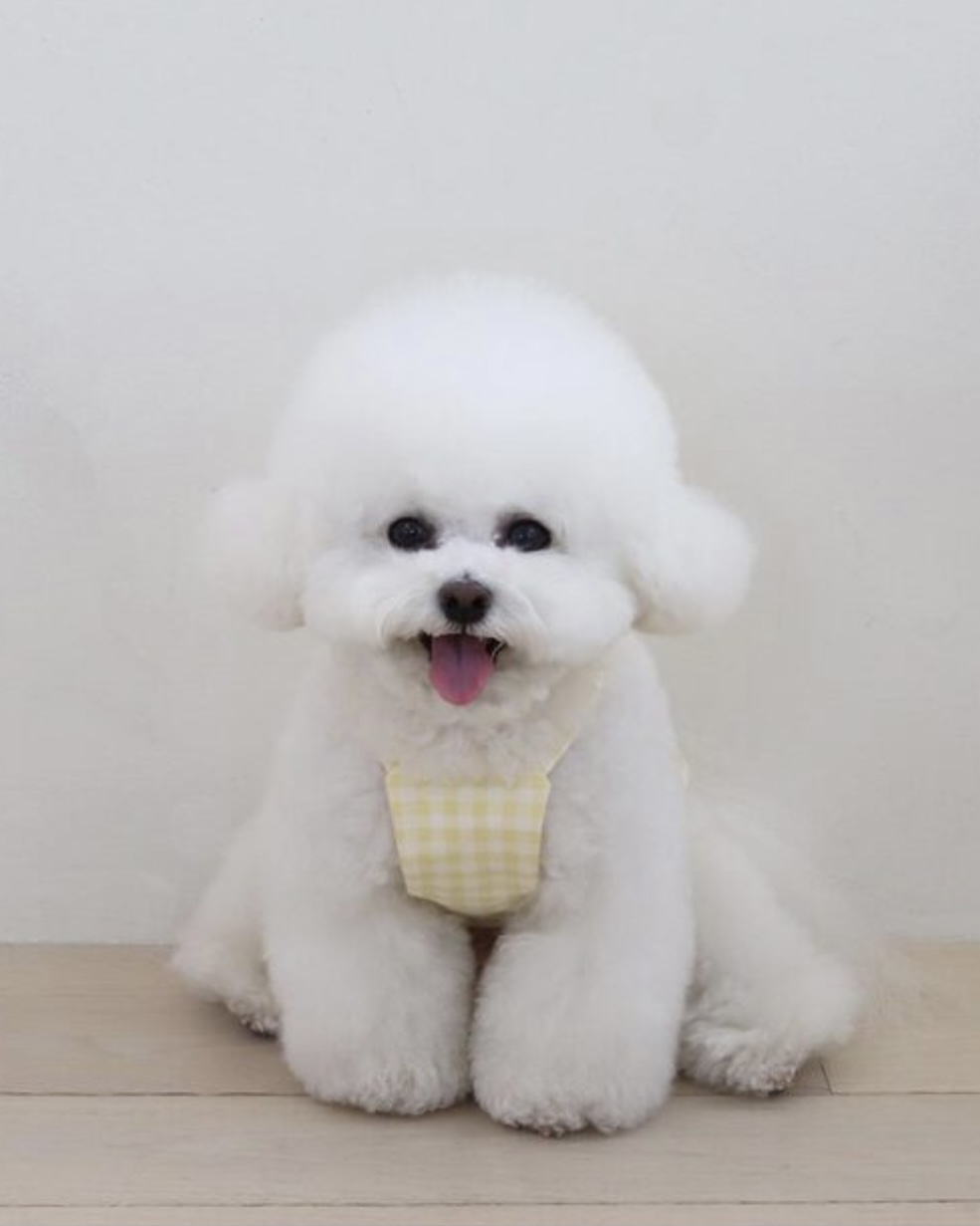 Chiot Together Check Crop Top Overall (Yellow)