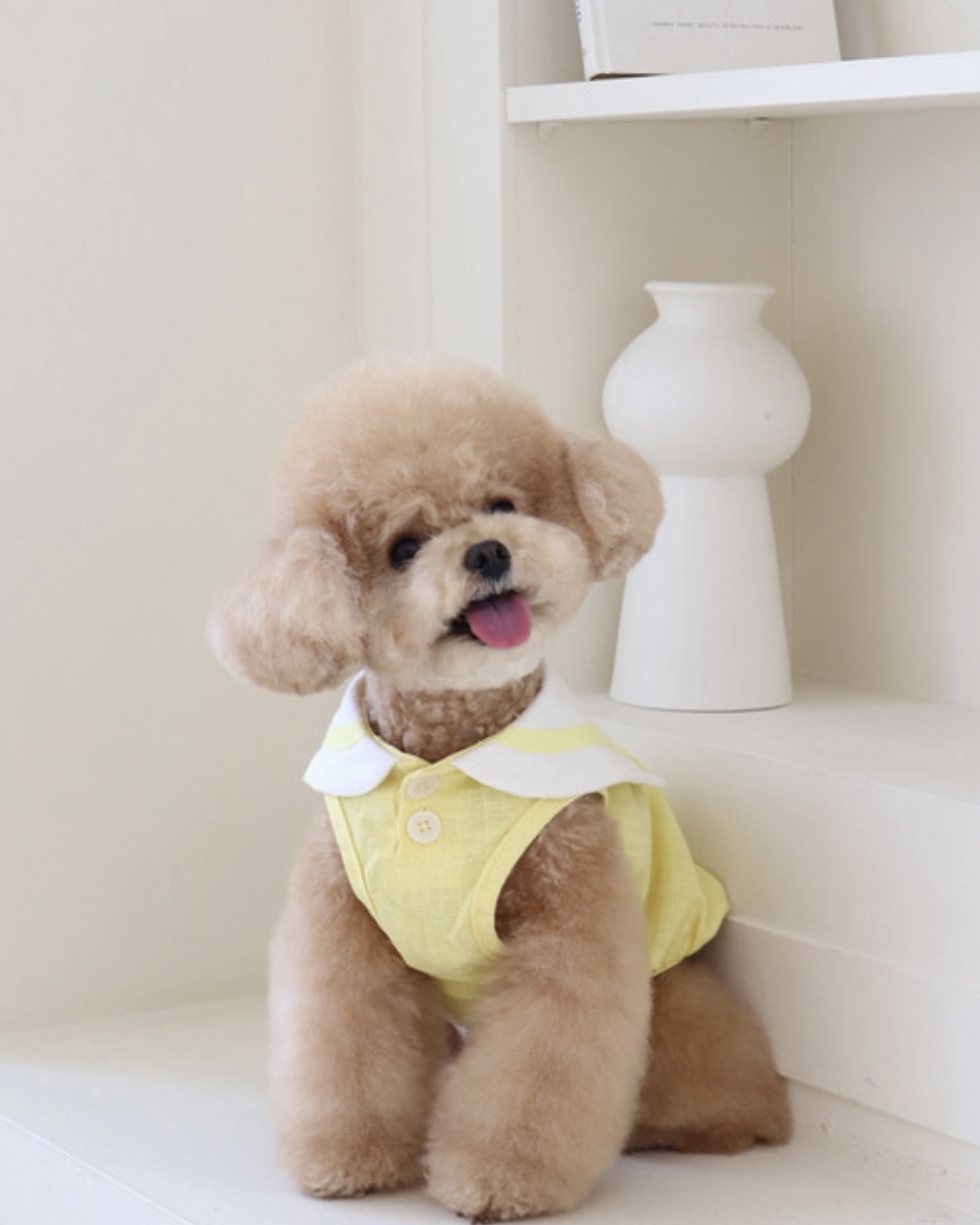 Pastel Linen Cape Top (Yellow)