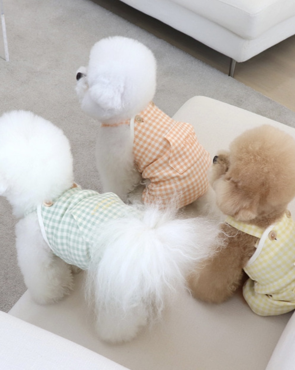 Chiot Together Check All in One Overall (Yellow)