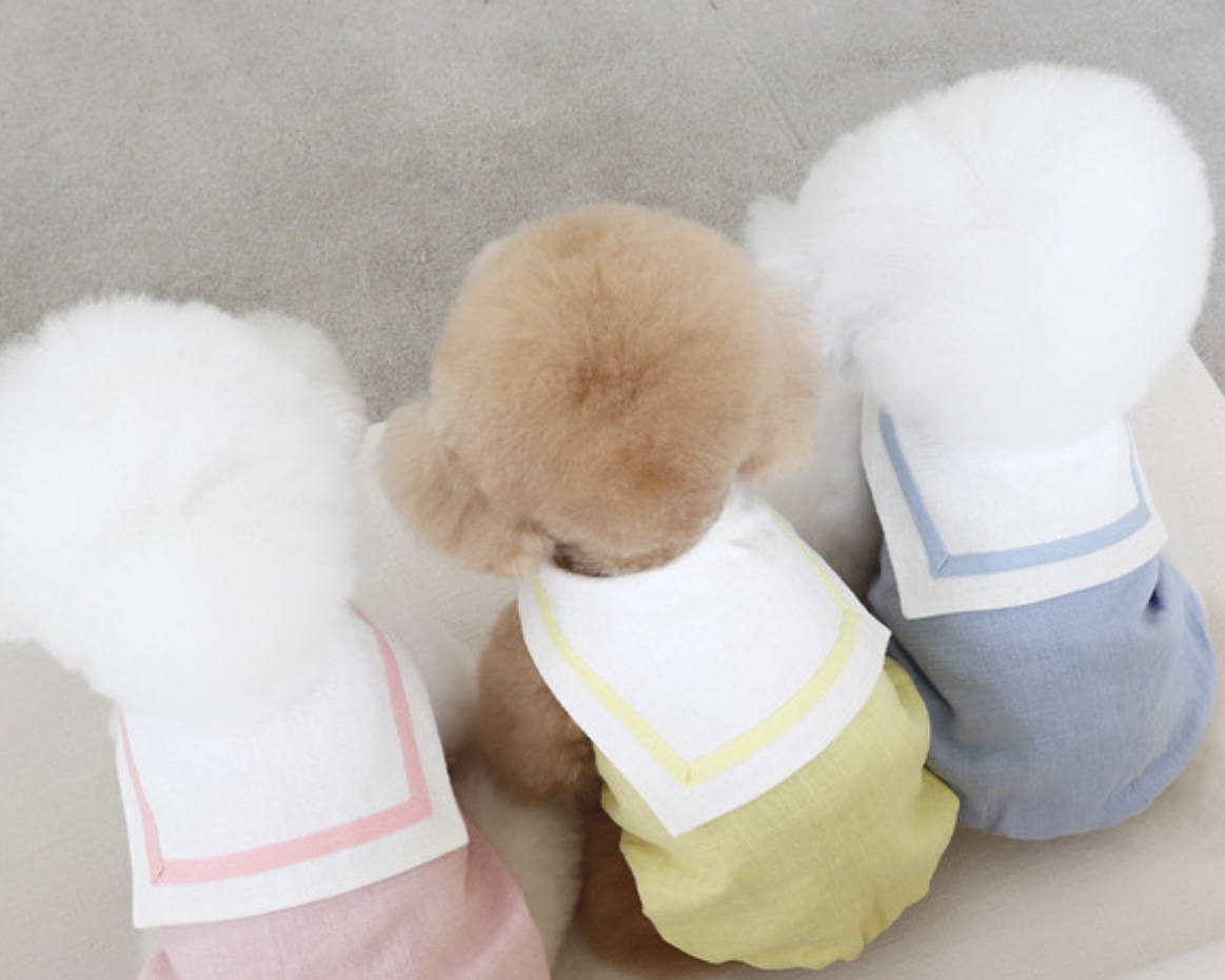 Pastel Linen Cape Top (Blue)