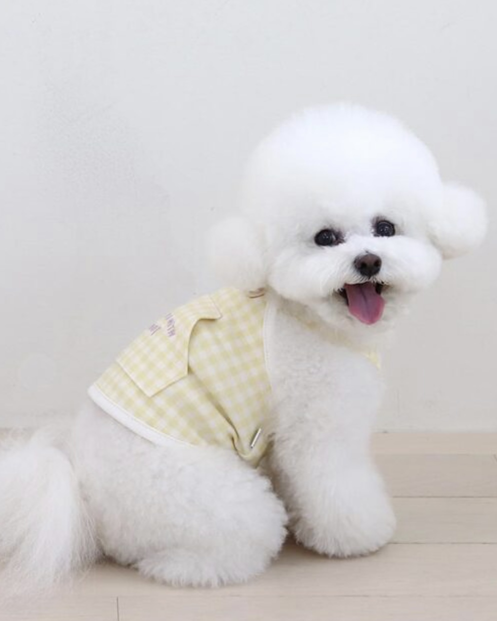 Chiot Together Check Crop Top Overall (Yellow)