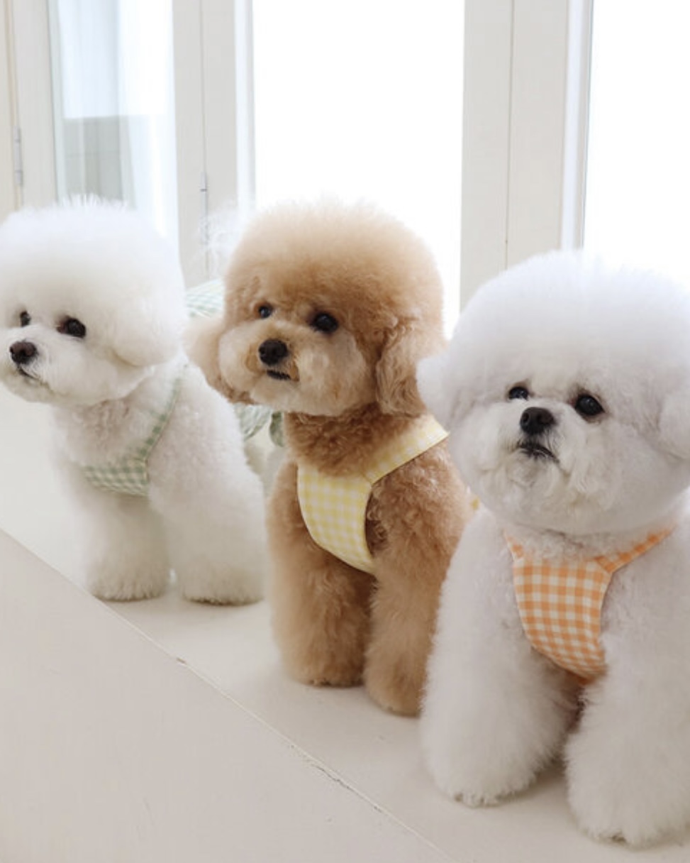 Chiot Together Check All in One Overall (Yellow)