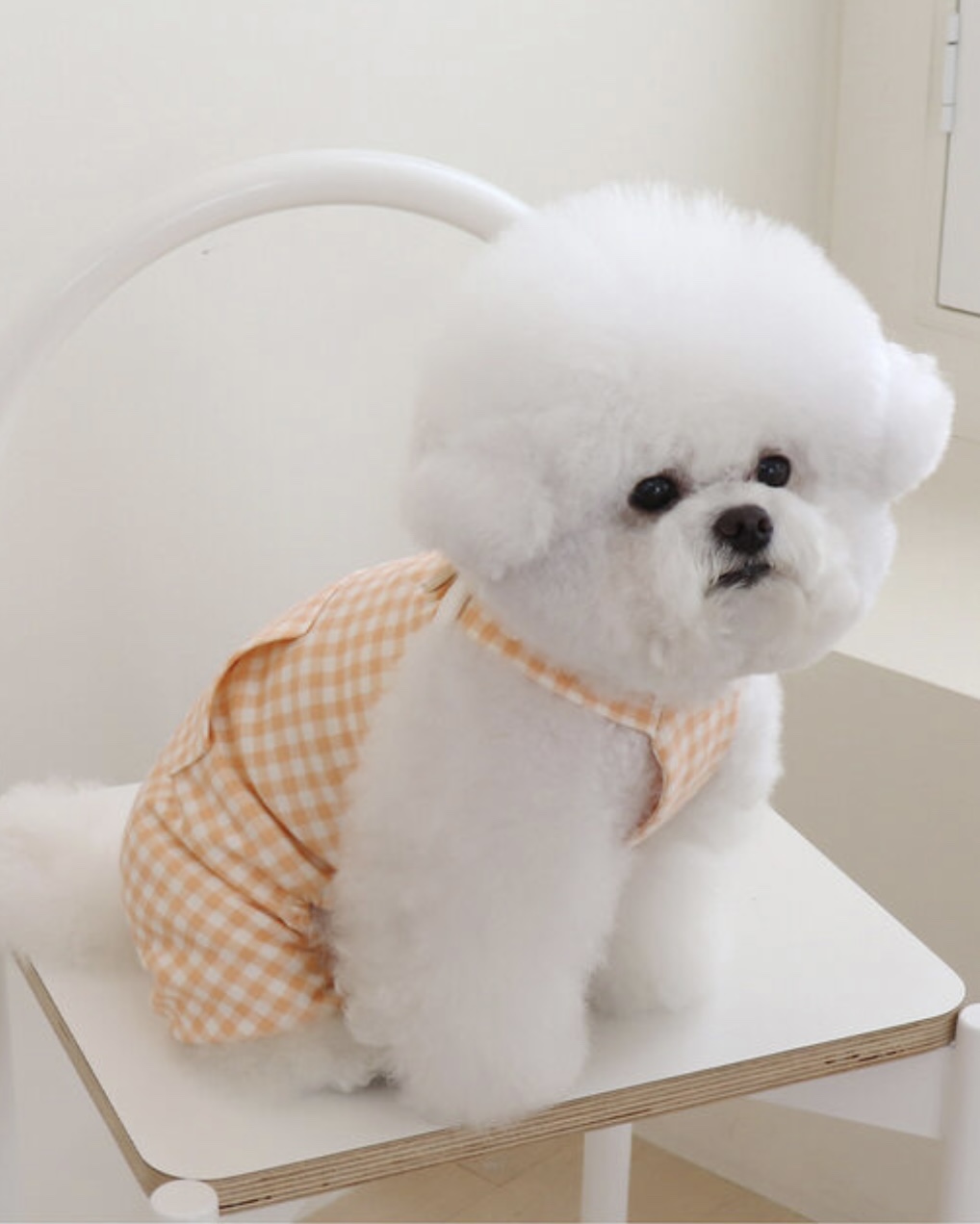 Chiot Together Check All in One Overall (Orange)