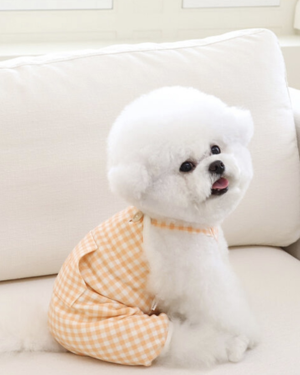 Chiot Together Check All in One Overall (Orange)