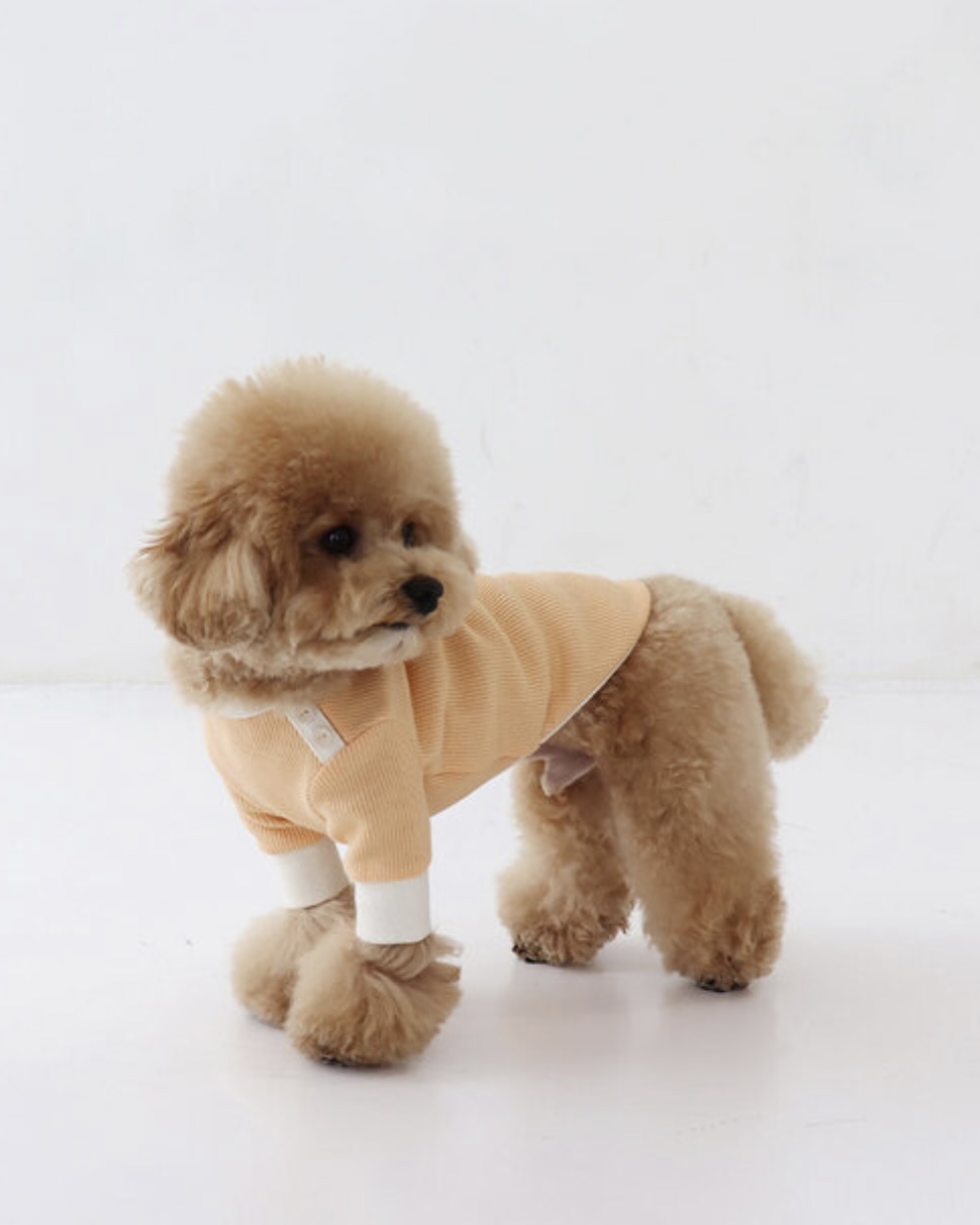 Sherbet Waffle T-Shirt (Orange)