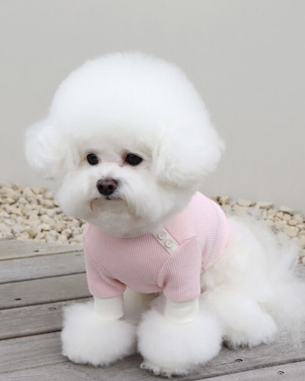 Sherbet Waffle T-Shirt (Pink)