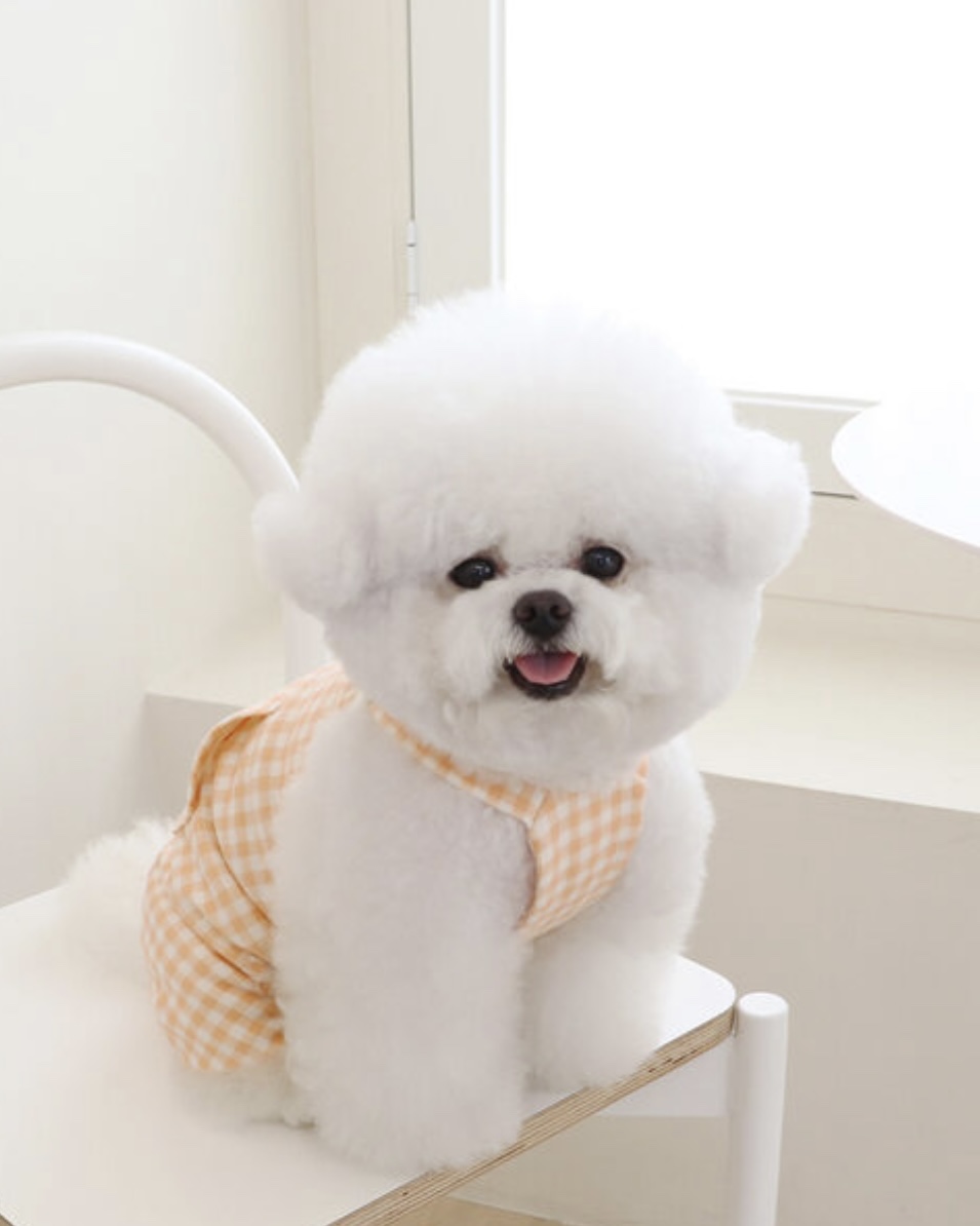 Chiot Together Check All in One Overall (Orange)