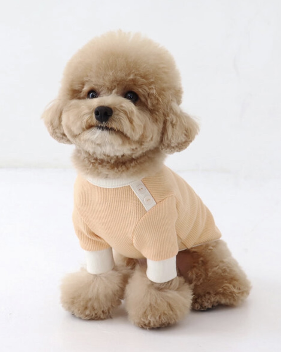 Sherbet Waffle T-Shirt (Orange)