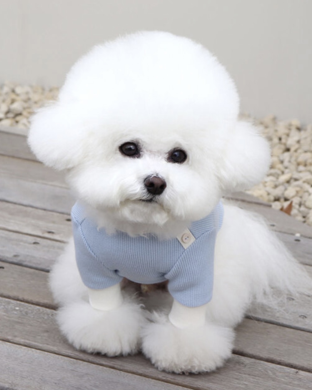 Sherbet Waffle T-Shirt (Blue)