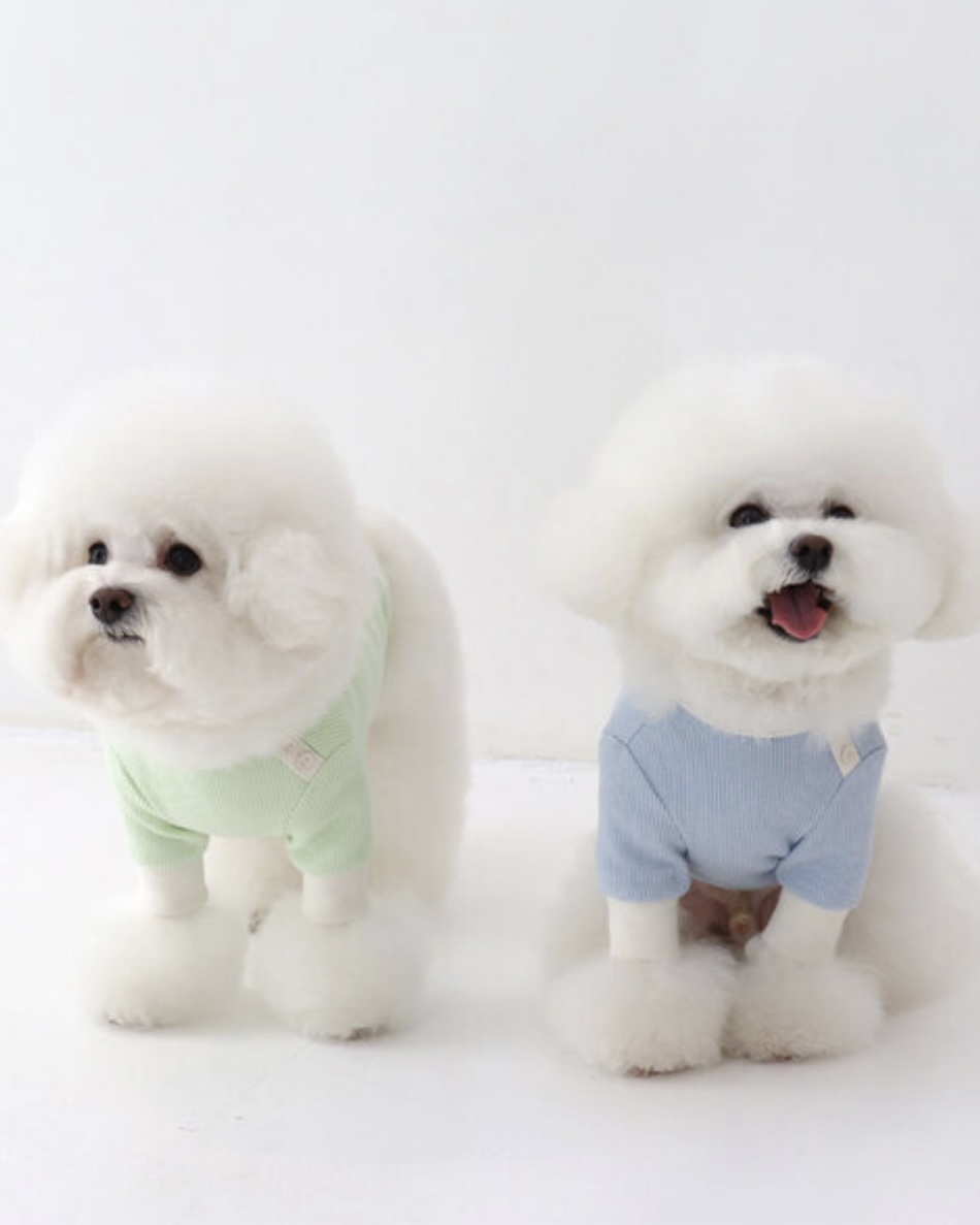 Sherbet Waffle T-Shirt (Blue)