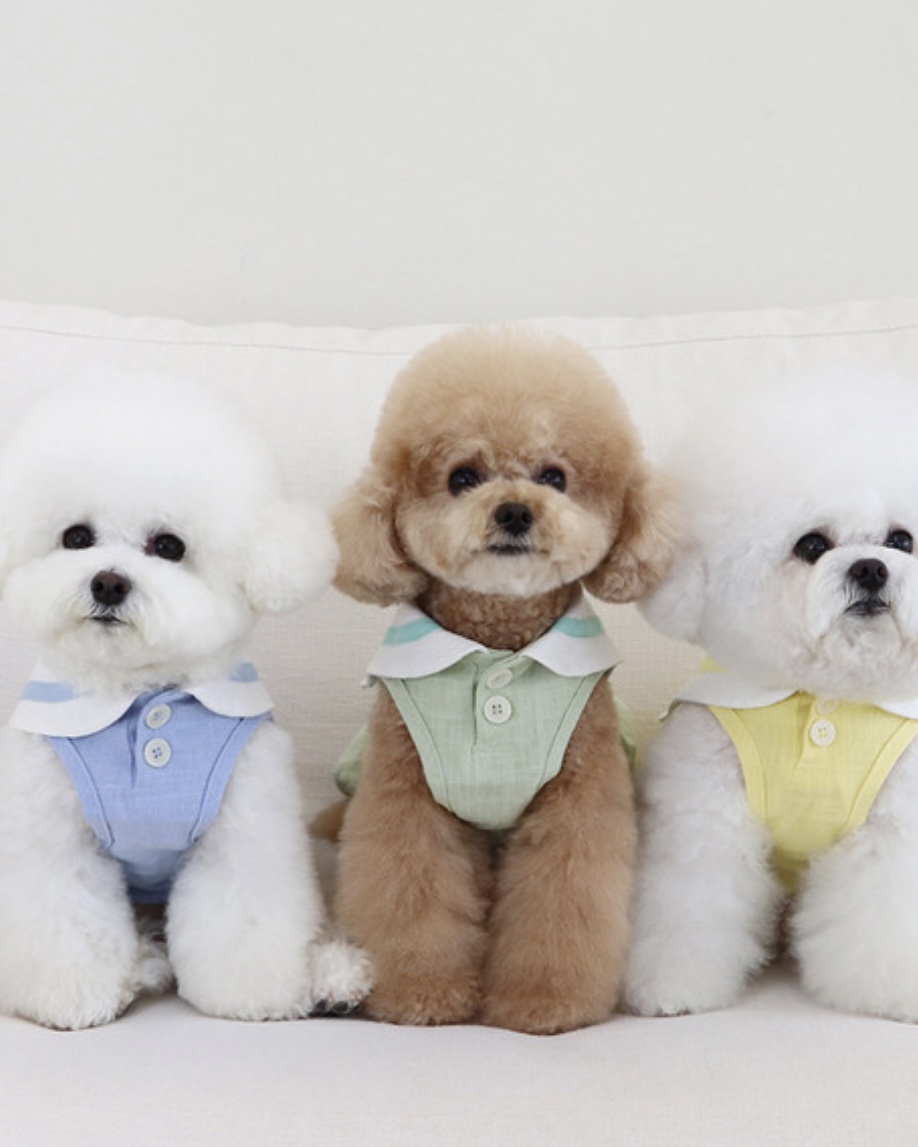 Pastel Linen Cape Top (Pink)